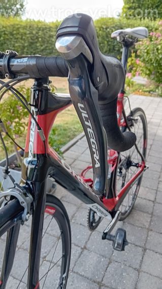 Orbea orca  - 7