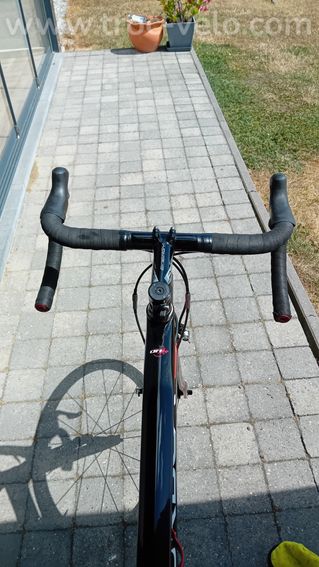 Orbea orca  - 8