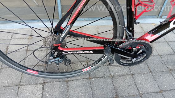 Orbea orca  - 9