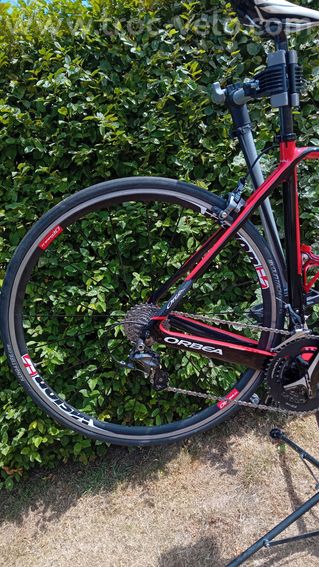Orbea orca  - 10