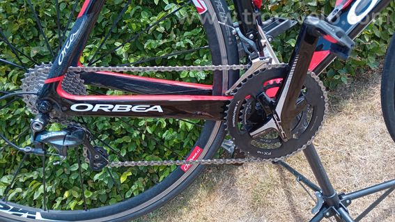 Orbea orca  - 12