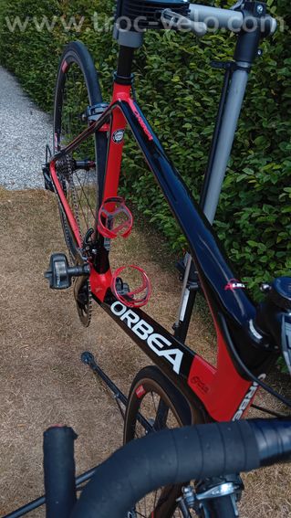 Orbea orca  - 13