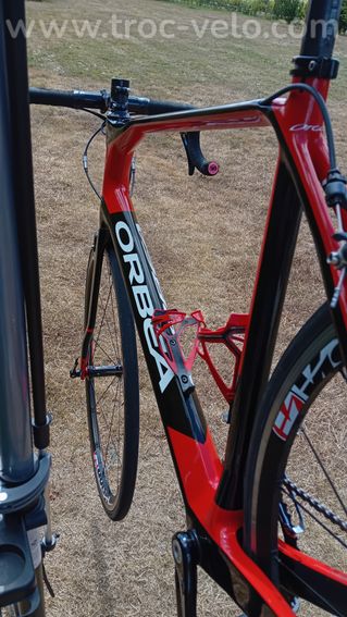 Orbea orca  - 14