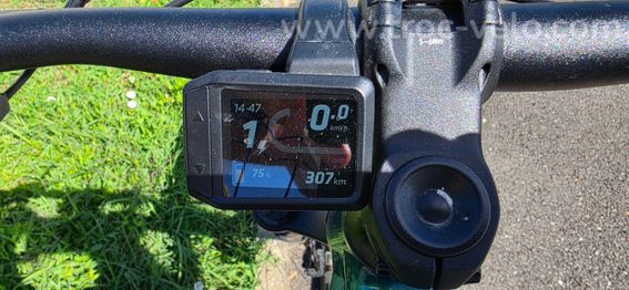 VTTAE semi rigide 29" - E-EXPL  - 6