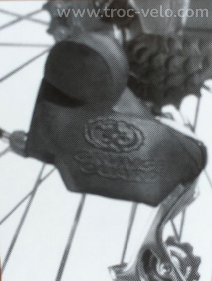 Protection de dérailleur arrière Lizard Skins grunge guard Neuf - 5