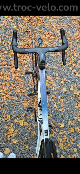 Ridley Noah 3.0 Édition Tomorrowland  - 2