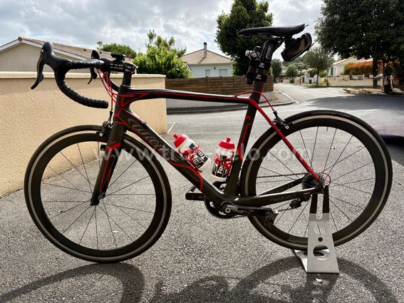 wilier carbone