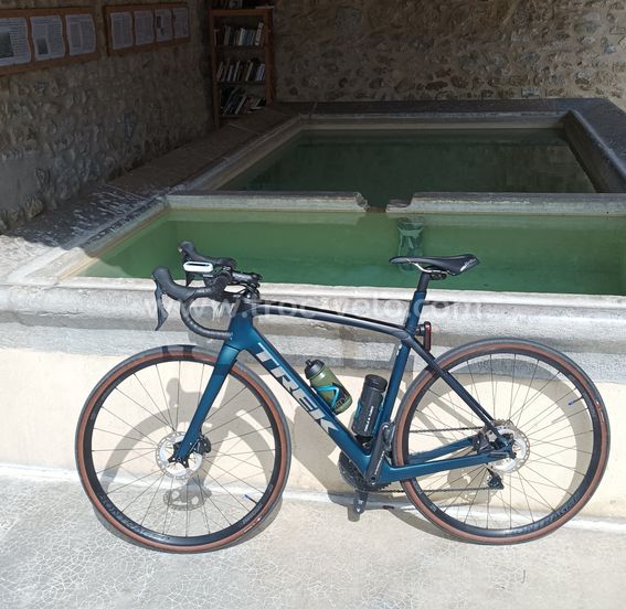 TREK Domane SL6
