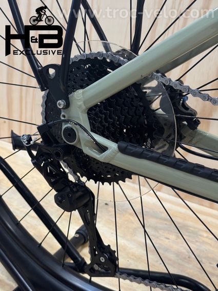 Besv TRX 1.3 29 pouces VTT électrique Microshift 2024 - 13