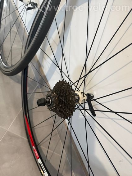 Orbea Orca - 6