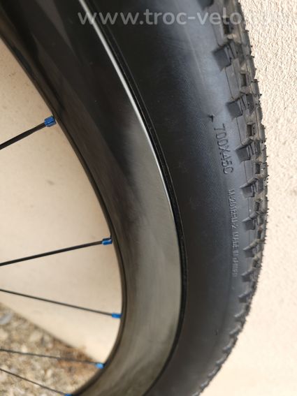 Roues Tregoride carbone moyeux Hope - 10