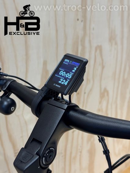 Velo de Ville SEB 890 Vélo électrique Shimano Nexus 2024 - 9
