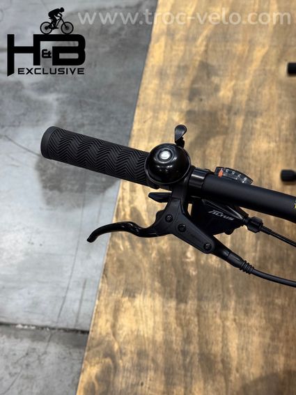 Giant Talon E+ EX 29 pouces VTT électrique Shimano Alivio 2022 - 5