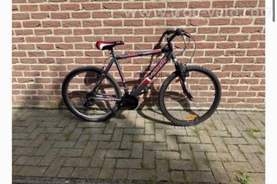 VTT Velocity - SHIMANO Tourney / RevoShift - suspension avant - 11