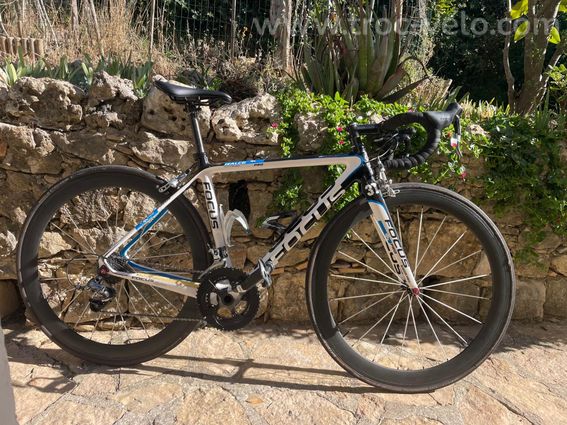 Focus Izalco - 2