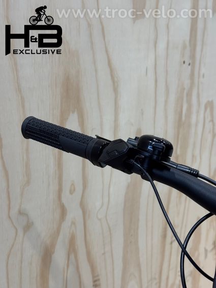 Rose Xtra Watt EVO Plus 2 Vélo électrique Shimano Alfine 2023 - 8