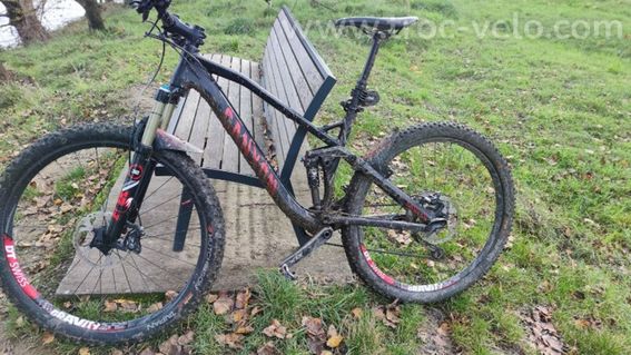 canyon nerve AL - 2