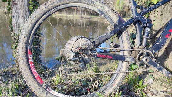 canyon nerve AL - 3