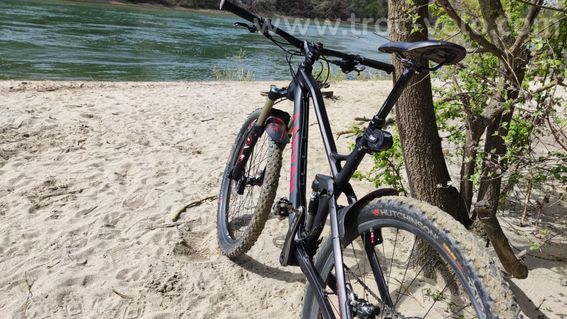 canyon nerve AL - 4