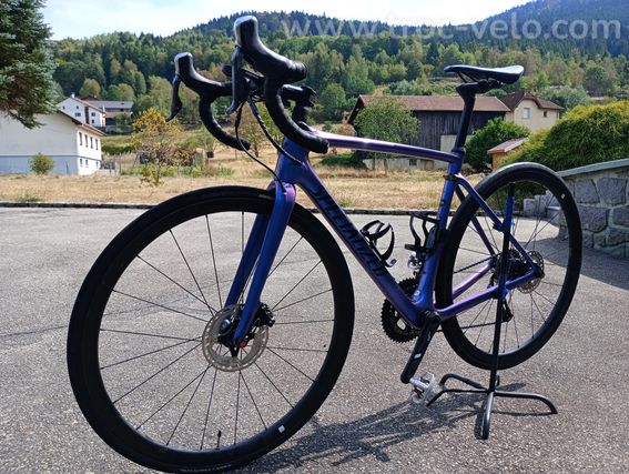 Vélo de course, Specialized Roubaix Pro, taille 54 - 2