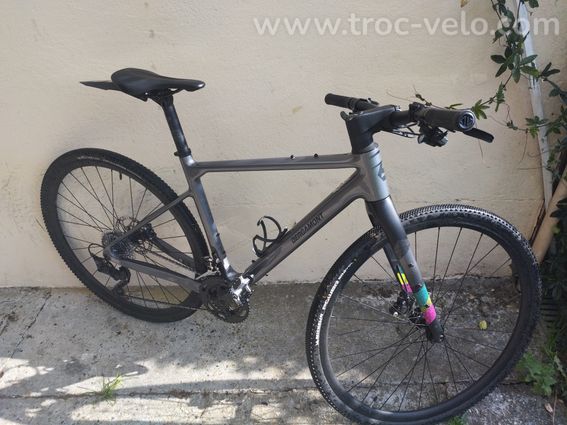 Gravel bergamont