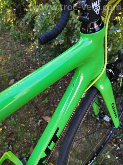 Giant TCR carbone - 11