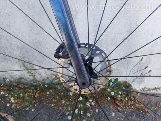 Langma Advanced SL Disc 1 2023 - 4