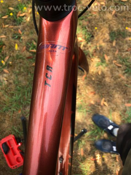 Giant TCR SL 2023 , kit cadre taille L - 6