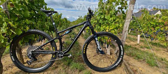 Specialized S-Works Epic Evo LTD - 2