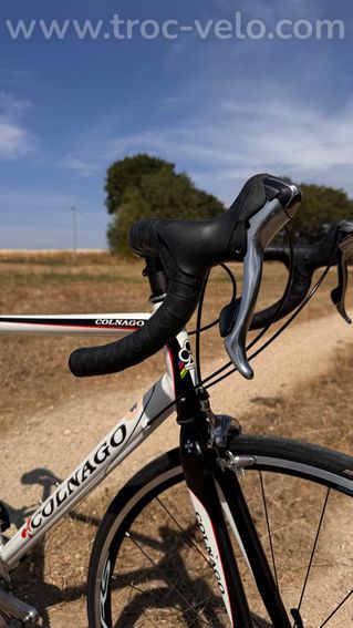 Vélo de route Colnago Primavera taille 55 - 2