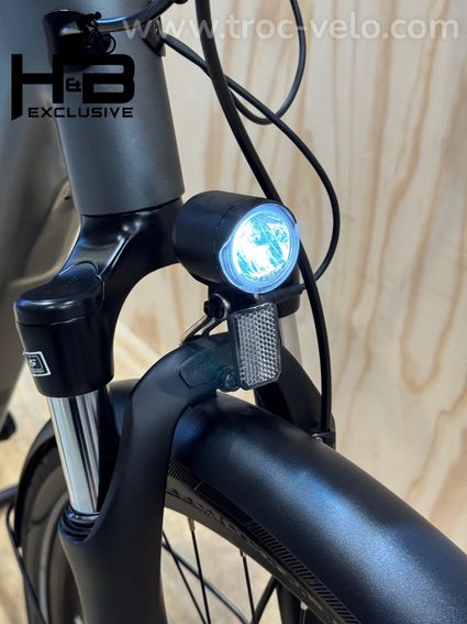 Tenways CGO800s Vélo électrique Single Speed 2023 - 4