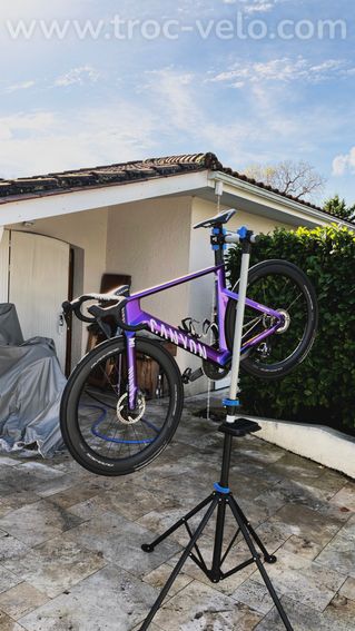 Canyon aeroad cfr alpecin