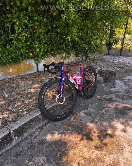 Canyon aeroad cfr alpecin - 2