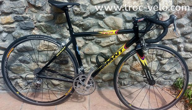 Giant TCR taille M - 1