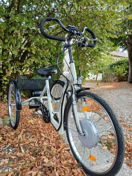 Tricycle électrique  - 2