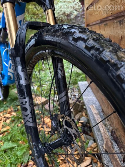 Orbea OIZ - 2