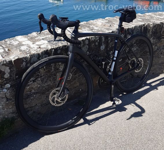 TREK DOMANE SL6 disc T.56 - 4
