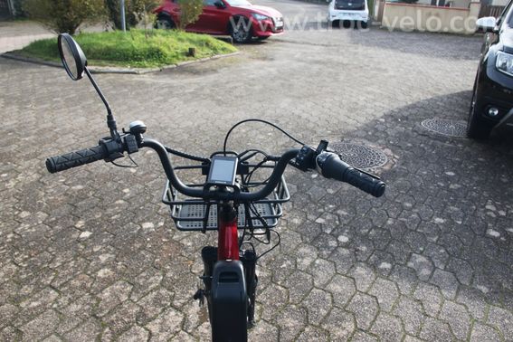 Tricycle Damius à assistance électrique - 2
