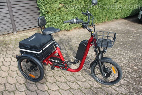 Tricycle Damius à assistance électrique - 4