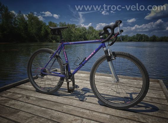Gravel Giant Escaper - 4