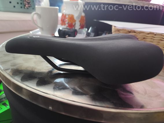 Selle royal groupe - 2