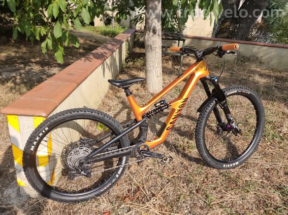 Canyon spectral cf8 cllctv