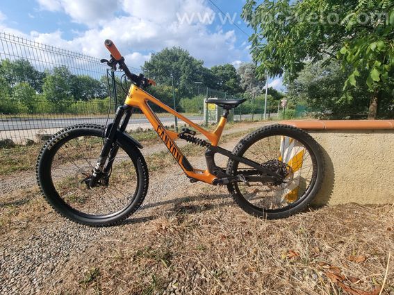Canyon spectral cf8 cllctv - 2