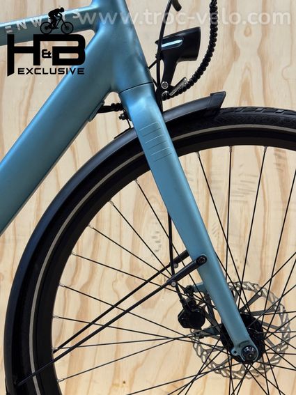 Tenways CGO600 Vélo électrique Single-Speed 2022 - 3