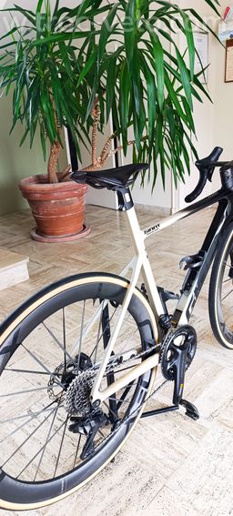 Giant sl 2024 - 2