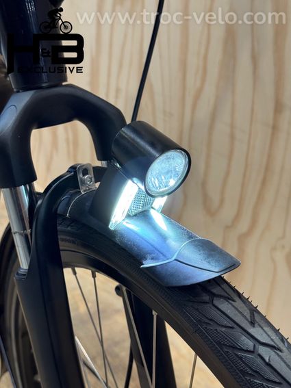 Batavus Finez E-go Power Exclusive Vélo électrique Shimano Nexus 2023 - 4