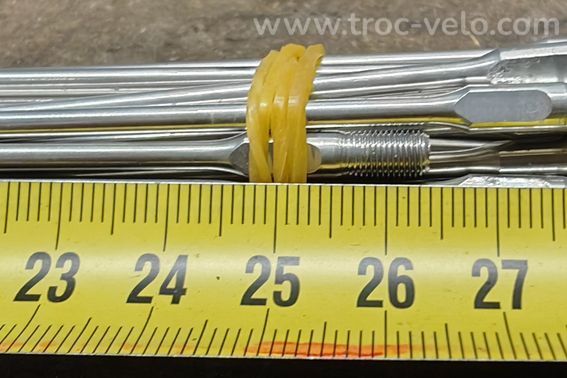 Rayons neufs pour jantes Fulcrum - 4