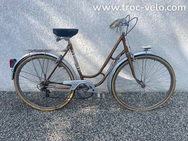 vends vélo ELVISH femme - 1