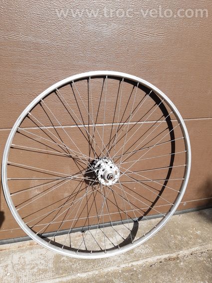Roue AR Boyau Vintage - 2