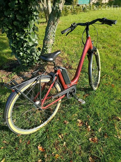 Vélo électrique Winora Tria N7 – Bosch Active Line Plus – Batterie 400 Wh - 5